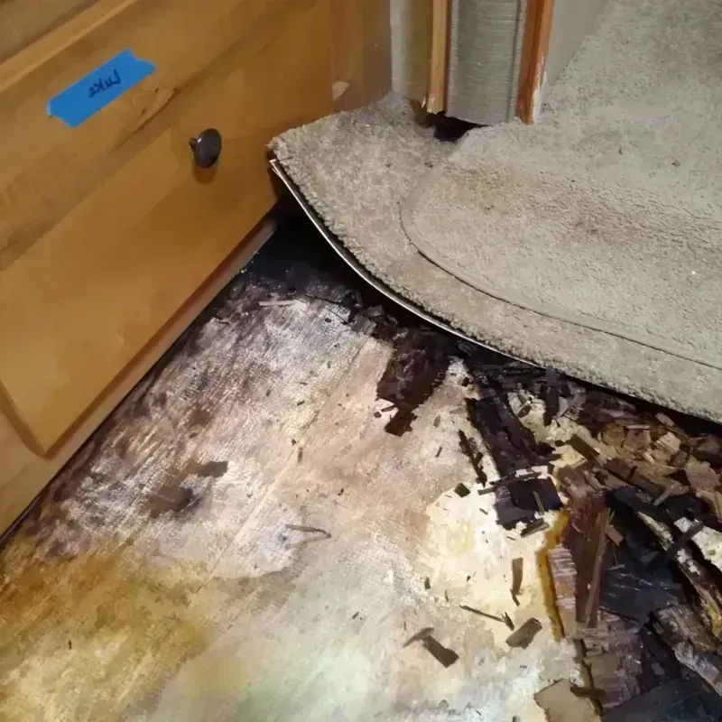 Best Wood Floor Water Damage Service in Muscatine County, IA